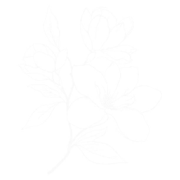 Plant illustration